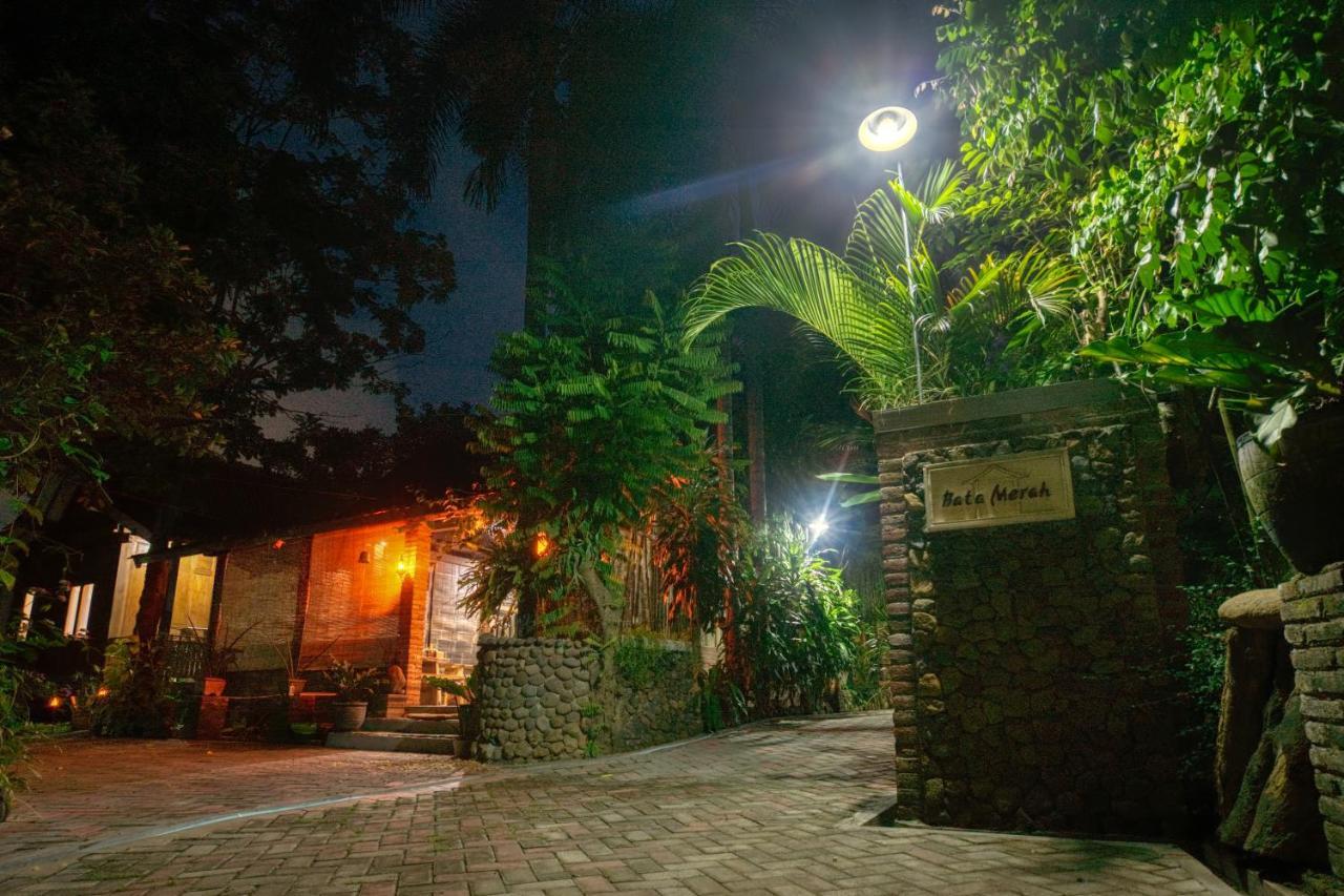 Bata Merah Homestay Баньювангі Екстер'єр фото