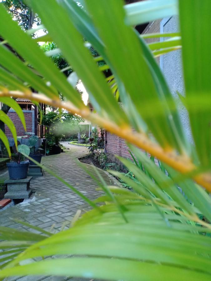 Bata Merah Homestay Баньювангі Екстер'єр фото