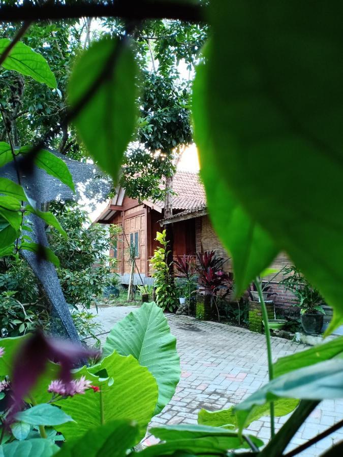 Bata Merah Homestay Баньювангі Екстер'єр фото
