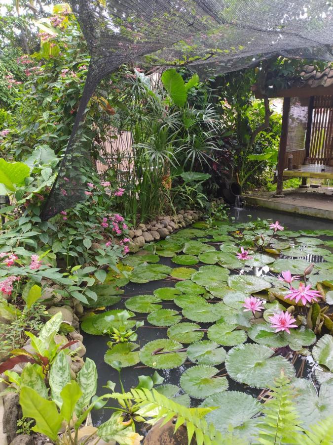 Bata Merah Homestay Баньювангі Екстер'єр фото