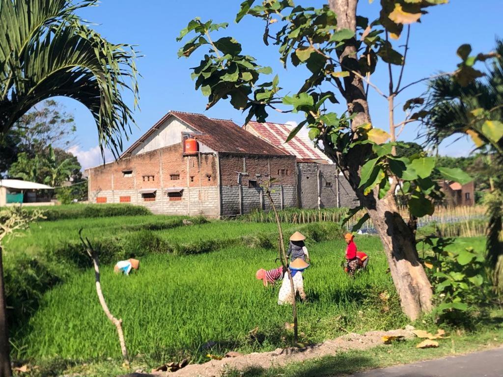 Bata Merah Homestay Баньювангі Екстер'єр фото